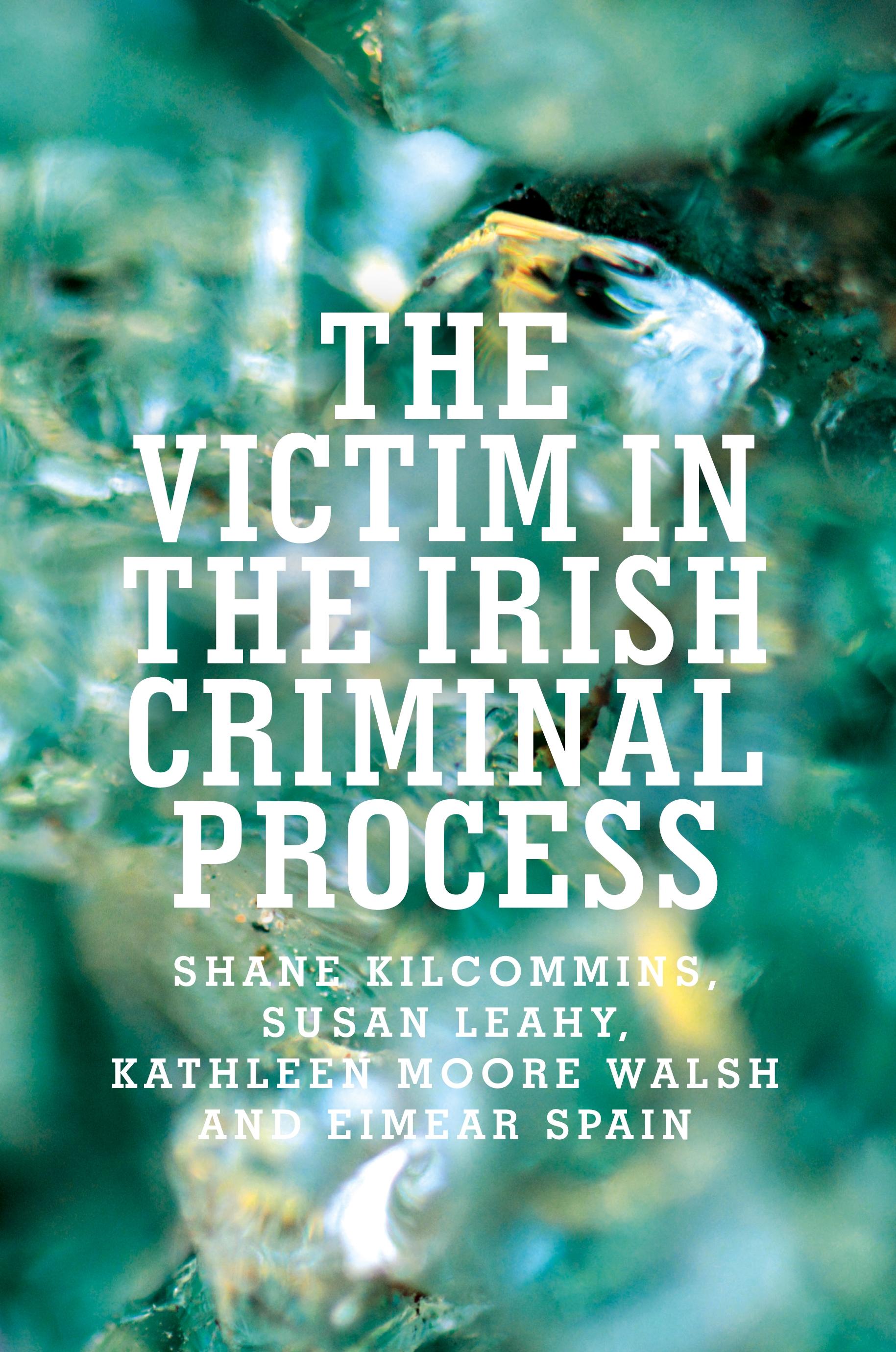 Produktbild: The victim in the Irish criminal process