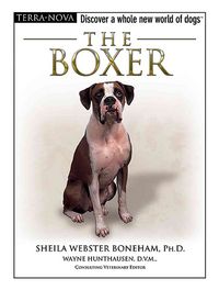 Produktbild: BOXER