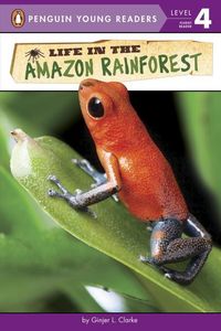 Produktbild: Life in The Amazon Rainforest