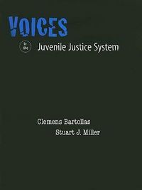 Produktbild: Voices in Juvenile Justice Sys