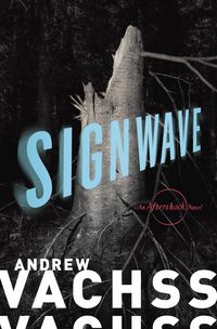 Produktbild: SignWave