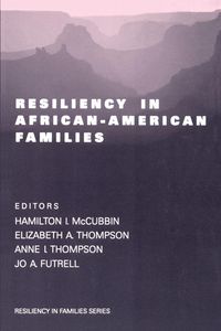 Produktbild: Resiliency in African-American Families