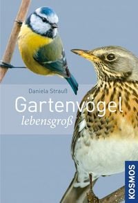 Produktbild: Gartenv&ouml;gel lebensgro&szlig;