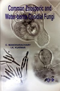 Produktbild: Common Zoosporic and Water-borne Conidial Fungi