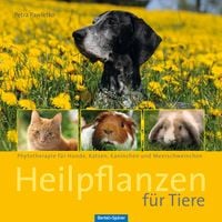 Bild vom Artikel Heilpflanzen für Tiere vom Autor Petra Pawletko