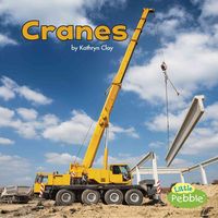 Produktbild: Cranes