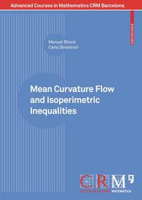 Produktbild: Mean Curvature Flow and Isoperimetric Inequalities
