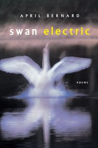 Produktbild: Swan Electric