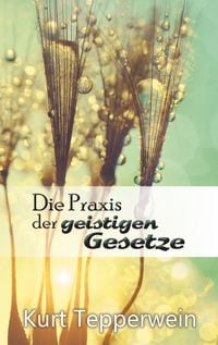 Produktbild: Die Praxis der geistigen Gesetze