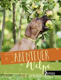 Produktbild: Abenteuer Welpe