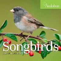 Produktbild: Audubon Songbirds Mini Cal 202