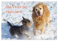 Produktbild: Die Welt der Haustiere (Tischkalender 2027 DIN A5 quer), CALVENDO Monatskalender