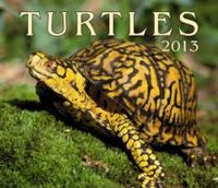 Produktbild: Turtles