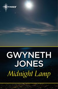 Produktbild: Midnight Lamp