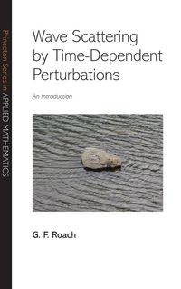 Produktbild: Wave Scattering by Time-Dependent Perturbations