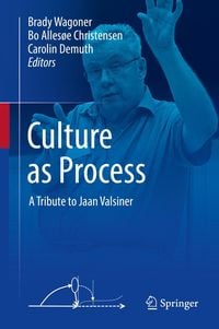 Produktbild: Culture as Process
