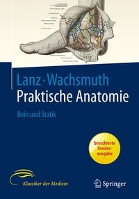 Produktbild: Bein und Statik