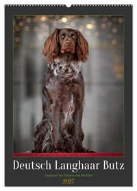 Produktbild: Deutsch Langhaar Butz - Jagdhund mit Passion und Herzblut (Wandkalender 2027 DIN A2 hoch), CALVENDO Monatskalender