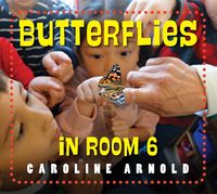 Produktbild: Butterflies in Room 6