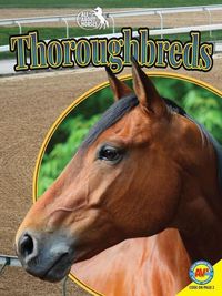 Produktbild: Thoroughbreds