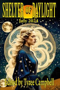 Produktbild: Shelter of Daylight July 2024