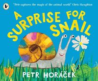 Produktbild: A Surprise for Snail