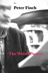 Produktbild: The Welsh Poems