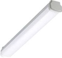 Produktbild: Philips LED Ledinaire WT060C L600 LED-Feuchtraumleuchte LED LED fest eingebaut 15 W Neutralwei&szlig; Grau, Wei&szlig;