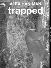 Bild vom Artikel Trapped vom Autor Alex Hanimann