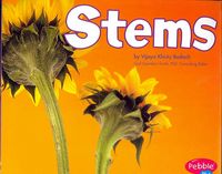 Produktbild: STEMS