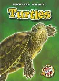Produktbild: Turtles