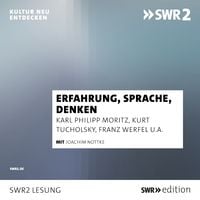 Produktbild: Erfahrung, Sprache, Denken