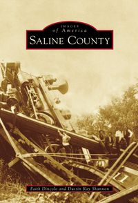 Produktbild: Saline County