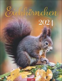 Bild vom Artikel Eichhörnchen. Wandkalender 2024. Fotokalender mit süßen Eichhörnchen-Bildern und Zitaten für jeden Monat. Tierkalender mit Planer im Hochformat 3 vom Autor 