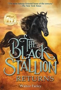 Produktbild: The Black Stallion Returns