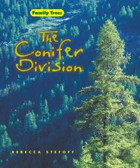 Produktbild: The Conifer Division