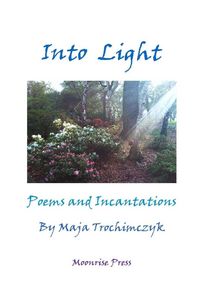 Produktbild: Into Light