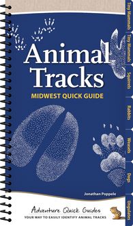 Produktbild: Animal Tracks of the Midwest