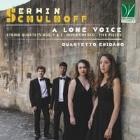 Produktbild: A Lone Voice