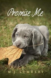 Produktbild: Promise Me