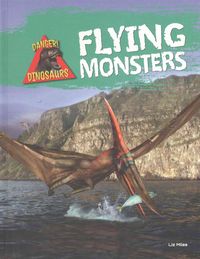 Produktbild: Flying Monsters