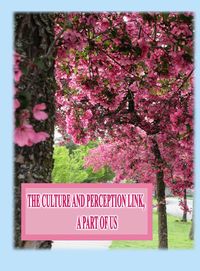 Produktbild: The Culture and Perception Link
