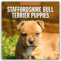 Produktbild: Staffordshire Bull Terrier Puppies &ndash; Staffordshire Bullterrier Welpen 2027 &ndash; 16-Monatskalender