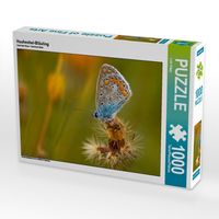 Produktbild: CALVENDO Puzzle Hauhechel-Bl&auml;uling | 1000 Teile Lege-Gr&ouml;&szlig;e 64x48cm Foto-Puzzle f&uuml;r gl&uuml;ckliche Stunden