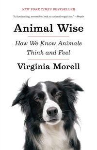Produktbild: Animal Wise