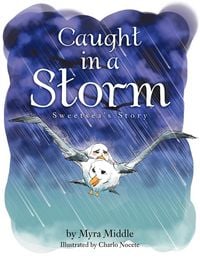 Produktbild: Caught in a Storm