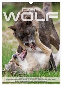 Produktbild: Emotionale Momente: Der Wolf. (Wandkalender 2026 DIN A3 hoch), CALVENDO Monatskalender