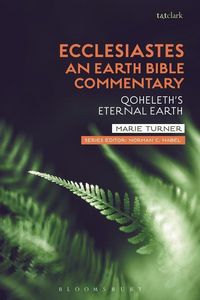 Produktbild: Ecclesiastes An Earth Bible Co
