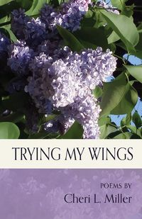 Produktbild: Trying my Wings