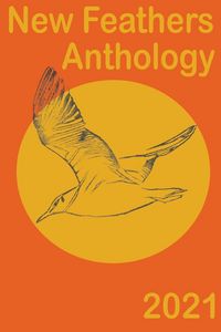 Produktbild: New Feathers Anthology 2021
